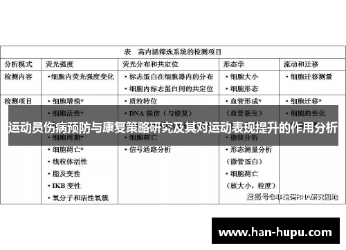 运动员伤病预防与康复策略研究及其对运动表现提升的作用分析