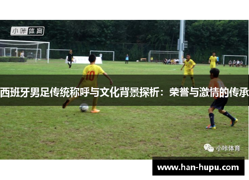 西班牙男足传统称呼与文化背景探析：荣誉与激情的传承