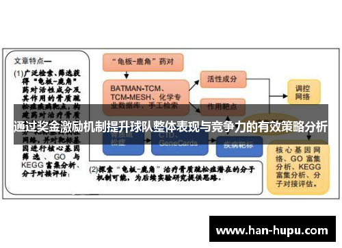 通过奖金激励机制提升球队整体表现与竞争力的有效策略分析